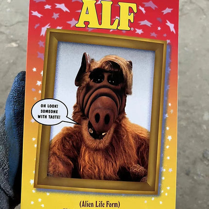 NECA Figure Ultimate Alien Life Form ALF Action Figure Oh Look! Someone With Taste Joint Movable Doll Birthday Present Toys